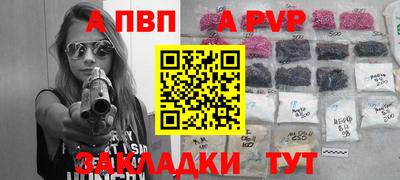 спиды Гай